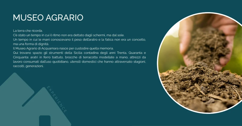Acquamara. Immagine in evidenza museo agrario
